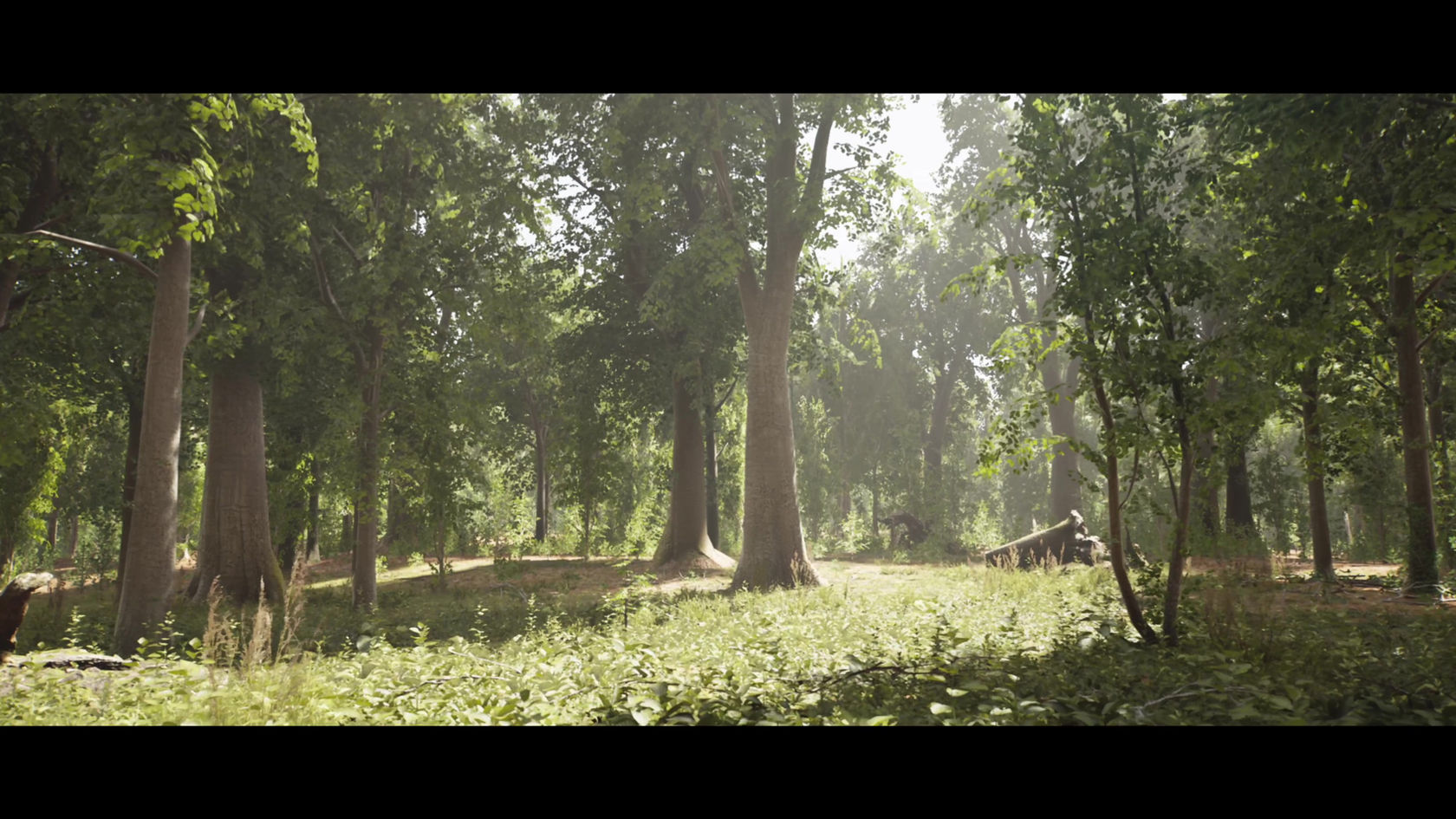 Quarantine Look Test